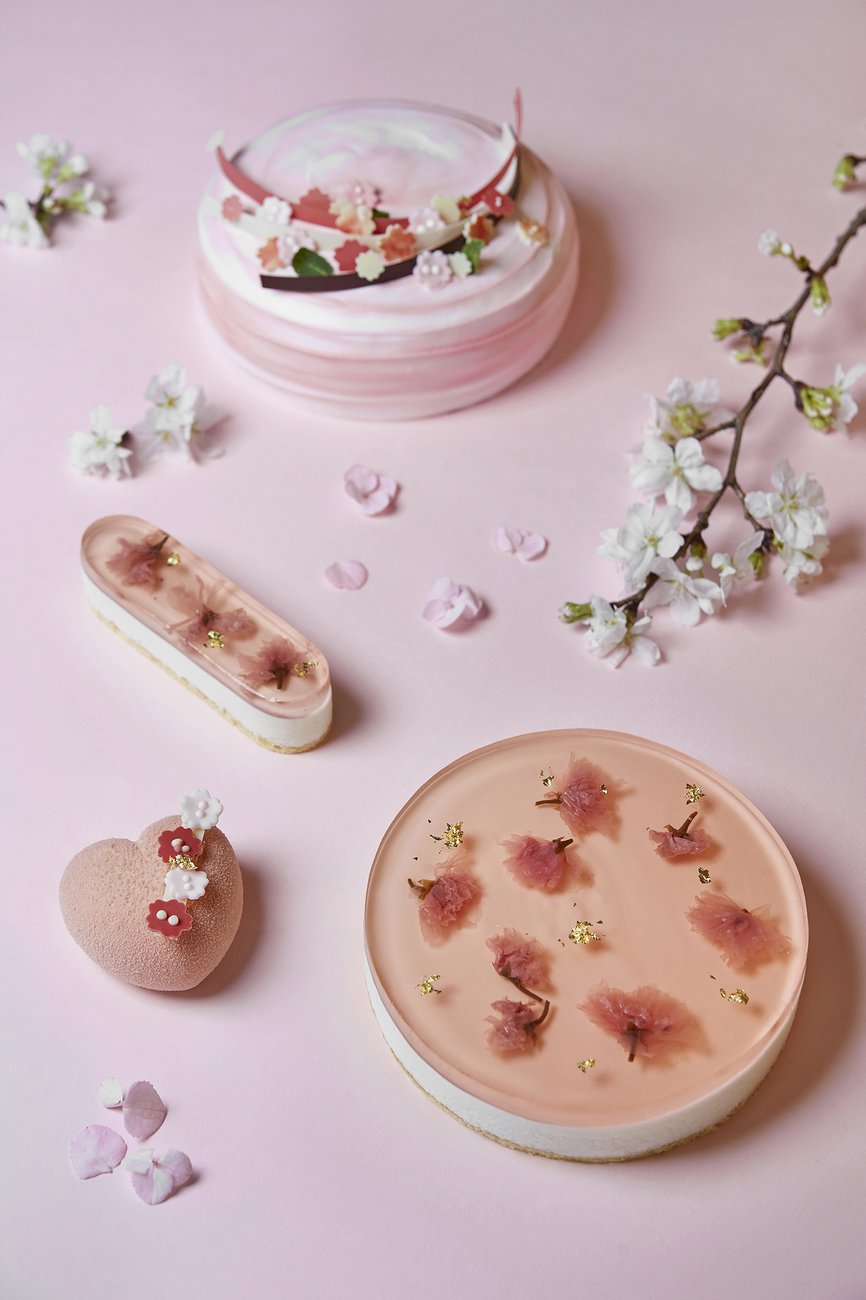 Park Hyatt Busan Patisserie Cherry Blossom Cakes 파크 하얏트 부산 파티세리 벚꽃 케이크